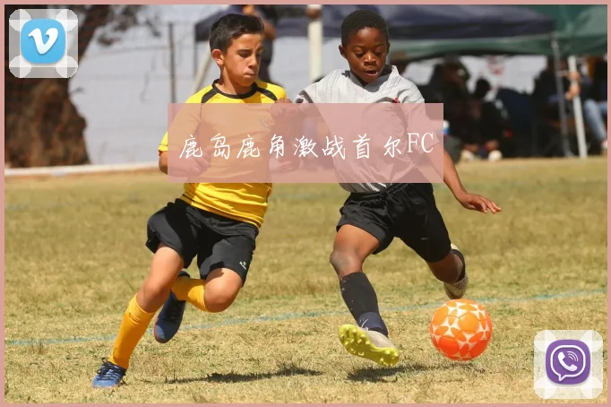 鹿岛鹿角激战首尔FC - 世界杯app直播app官方版