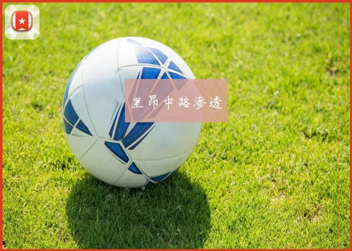 里昂中路渗透 - 世界杯app直播app官方版