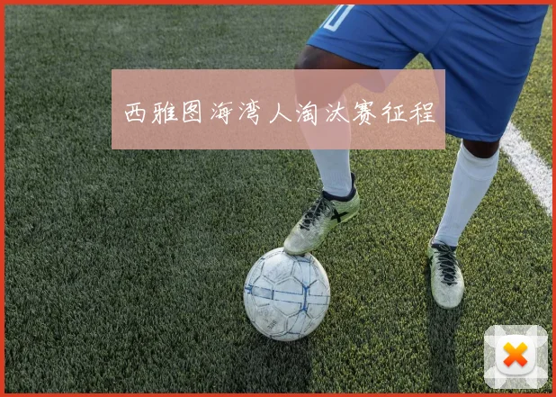 西雅图海湾人淘汰赛征程 - 世界杯app直播app官方版