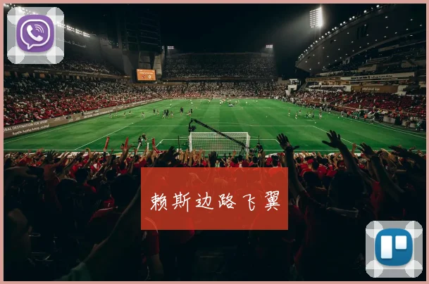 赖斯边路飞翼 - 世界杯app直播app官方版