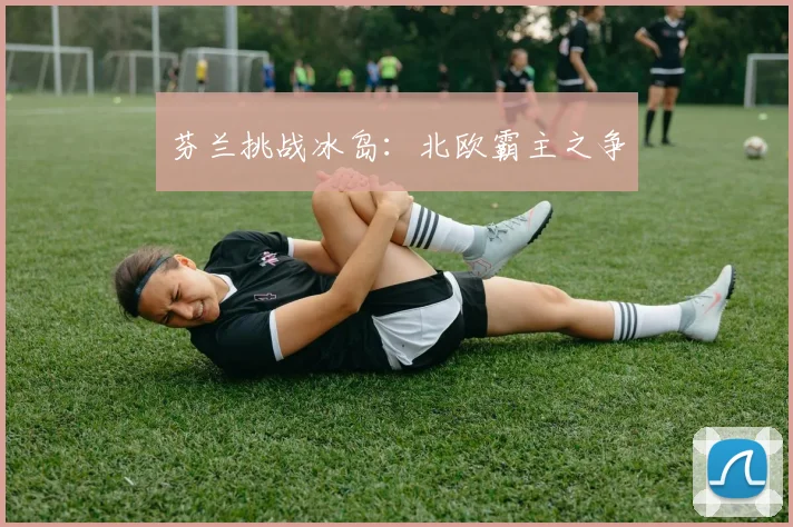 芬兰挑战冰岛：北欧霸主之争 - 世界杯app直播app官方版