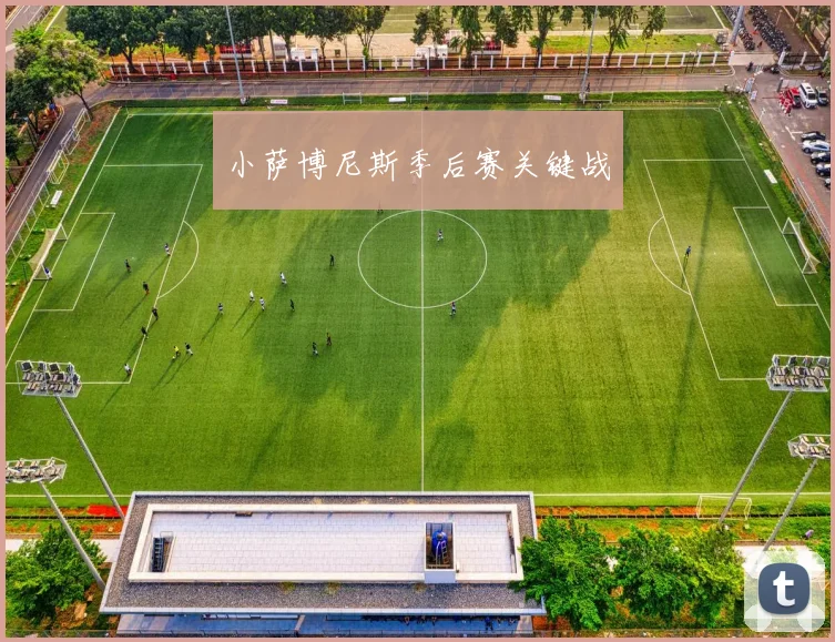 小萨博尼斯季后赛关键战 - 世界杯app直播app官方版