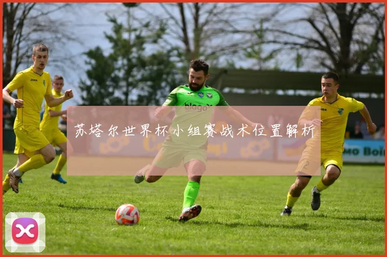 苏塔尔世界杯小组赛战术位置解析