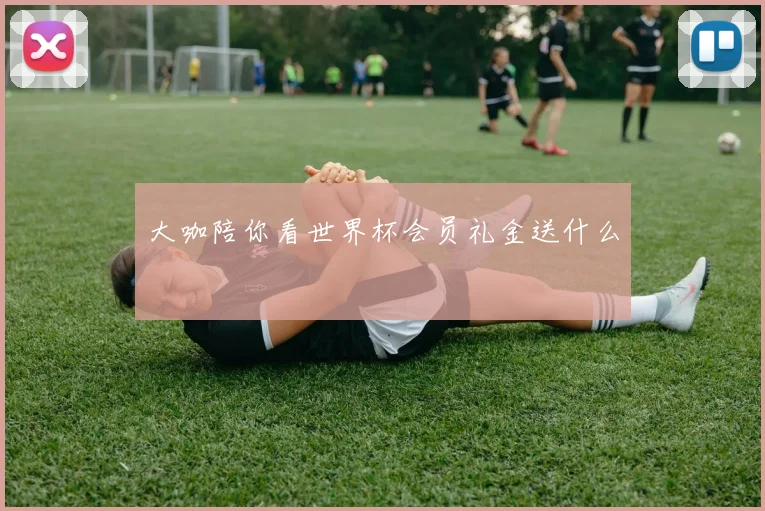 大咖陪你看世界杯会员礼金送什么